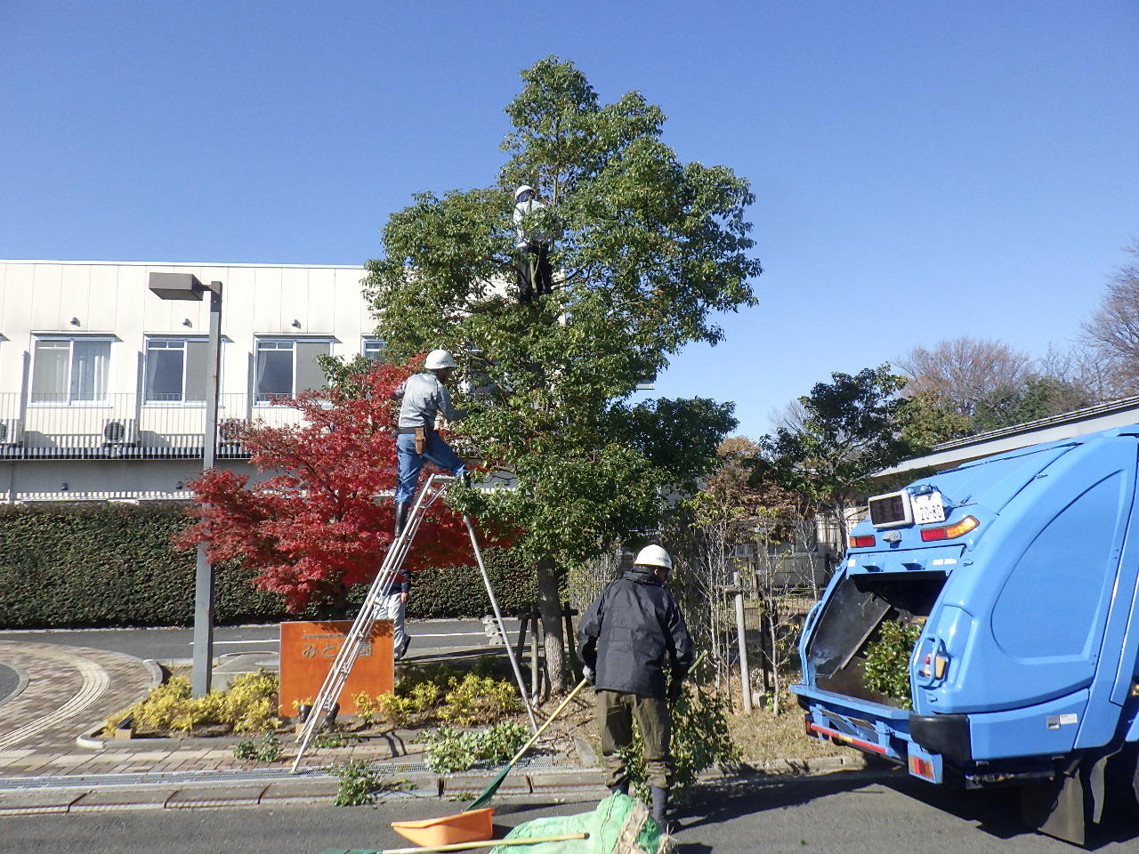 造園工事施工事例