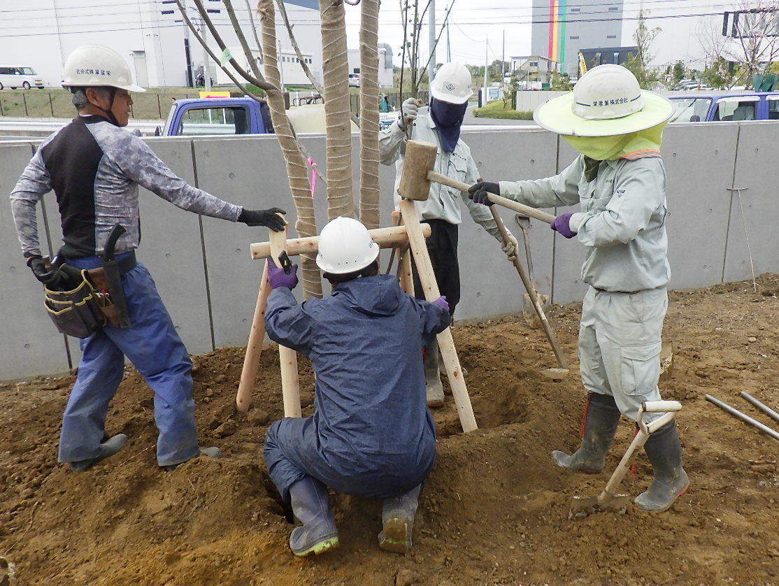 造園工事施工事例