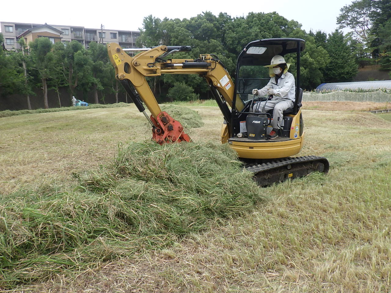事業紹介（除草工事）