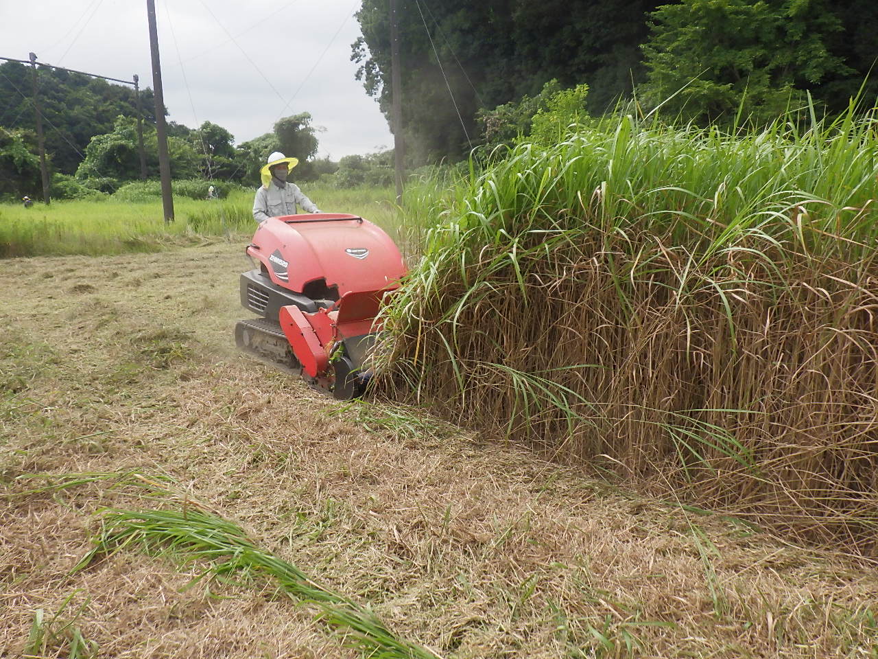 事業紹介（除草工事）